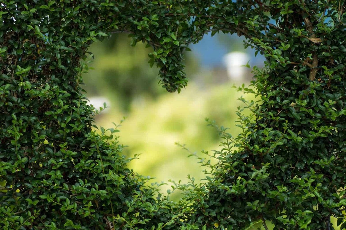 Blog on Embracing Nature