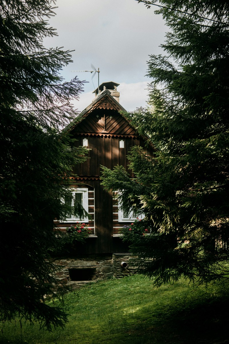 Modern Rustic Lodge